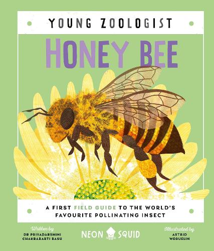 Honey Bee (Young Zoologist): A First Field Guide to the World’s Favourite Pollinating Insect (UK Edition)