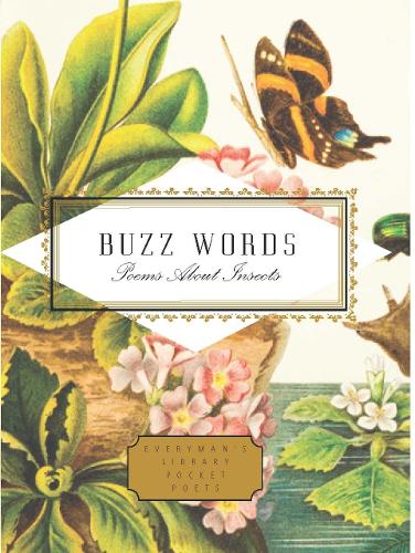Buzz Words: Poems About Insects (Everyman's Library POCKET POETS)