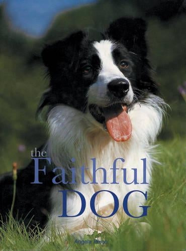 The Faithful Dog