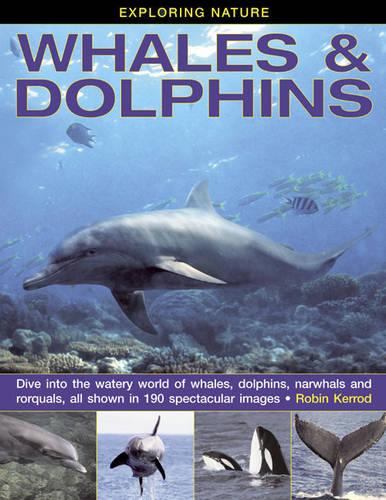 Exploring Nature: Whales & Dolphins: Dive into the Watery World of Whales, Dolphins, Narwhals and Rorquals, All Shown in 190 Spectacular Images