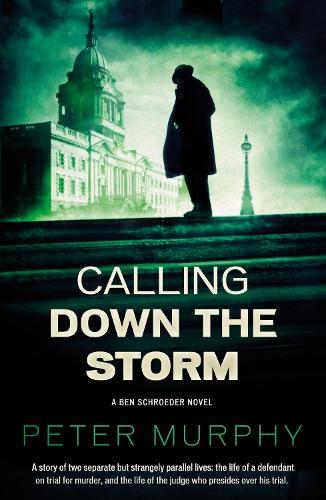 Calling Down the Storm (Ben Schroeder 5)