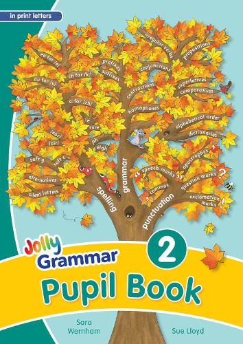 Grammar 2 Pupil Book (in Print Letters): 2 (Jolly Learning)