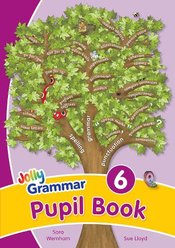 Grammar 6 Pupil Book: in Precursive Letters (BE)