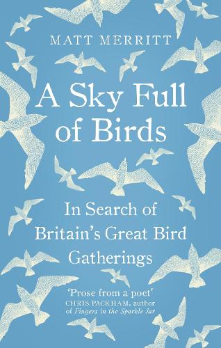 A Sky Full of Birds (Nicole Graves Mysteries)