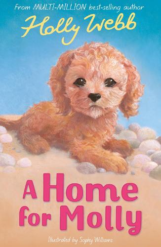 A Home for Molly (Holly Webb Animal Stories)