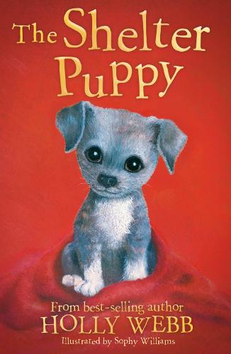 The Shelter Puppy (Holly Webb Animal Stories)