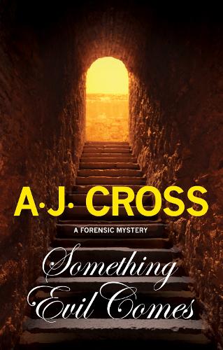 Something Evil Comes (A Kate Hanson mystery)