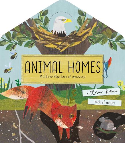 Animal Homes: A lift-the-flap book of discovery (A Clover Robin Book of Nature)