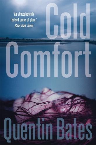 Cold Comfort (Gunnhildur Mystery 2)