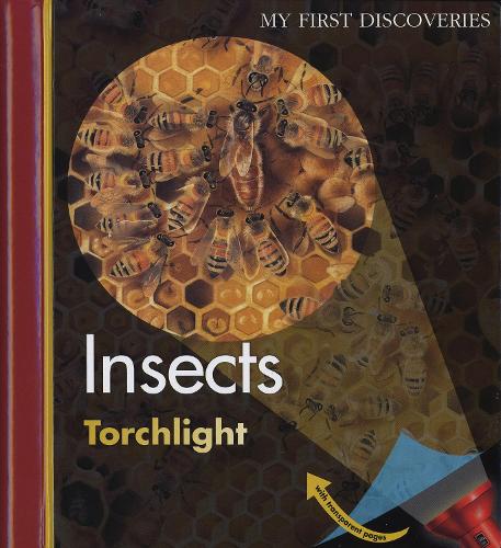 Insects (My First Discoveries/Torchlight)