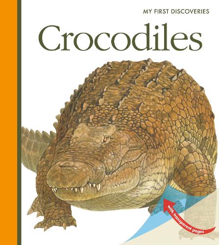 Crocodiles (My First Discoveries)