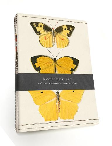 Butterfly Notebook Set: 3 A5 lined notebooks with stitched spines