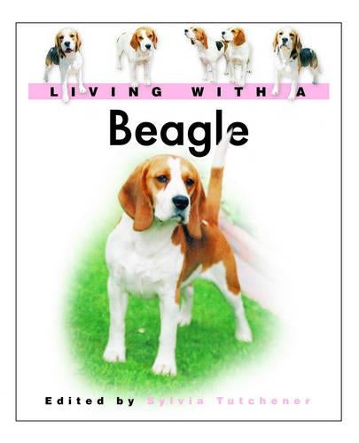 Living With A Beagle