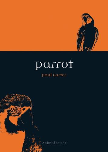 Parrot (Animal Series)