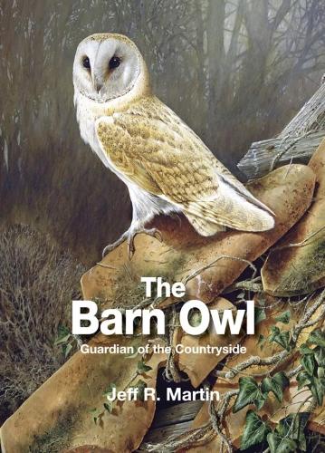 Barn Owl: Guardian of the Countryside