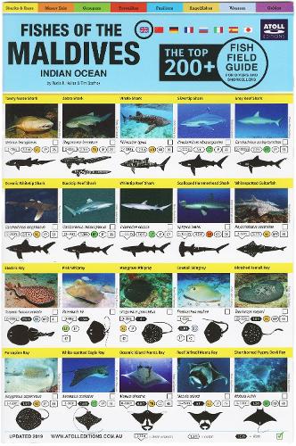 Maldives Fish Field Guide Top 200+