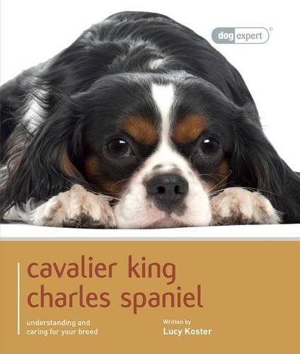 Cavalier King Charles - Dog Expert