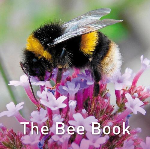 The Bee Book (Nature Book)