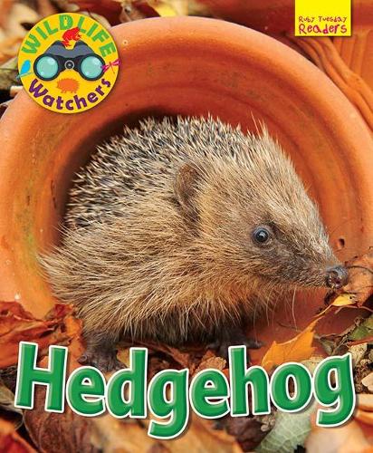 Wildlife Watchers: Hedgehog 2017 (Ruby Tuesday Readers)