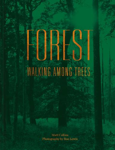 Forest: Walking among trees