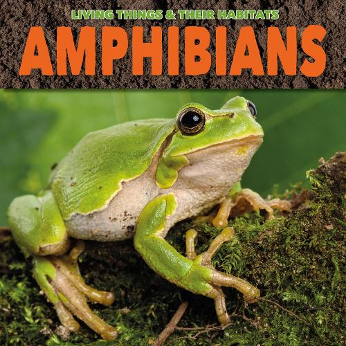 Amphibians (Living Things and Their Habitats)