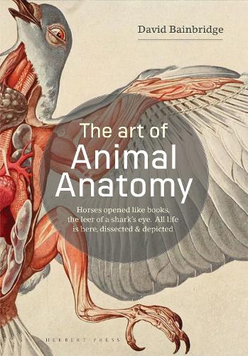 The Art of Animal Anatomy: All life is here, dissected and depicted