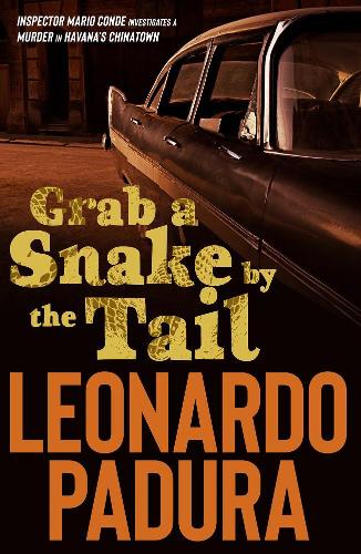 Grab a Snake by the Tail (Mario Conde Investigates)