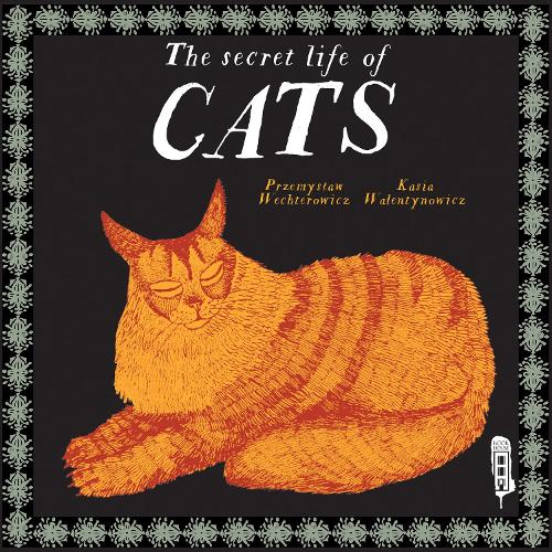 The Secret Lives of Cats (Gift Book Cat Naps)