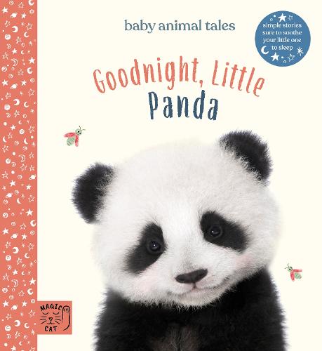 Goodnight, Little Panda (Baby Animal Tales)