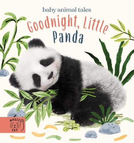 Goodnight, Little Panda: A book about fussy eating (Baby Animal Tales)
