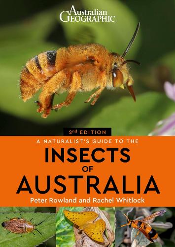A Naturalist's Guide to the Insects of Australia (2nd)