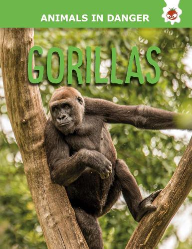 Gorillas - Animals In Danger