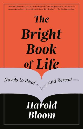 The Bright Book of Life: Novels to Read and Reread