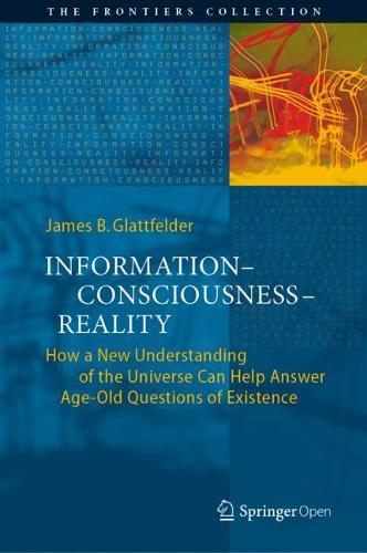 Information-Consciousness-Reality: How a New Understanding of the Universe Can Help Answer Age-Old Questions of Existence (The Frontiers Collection)