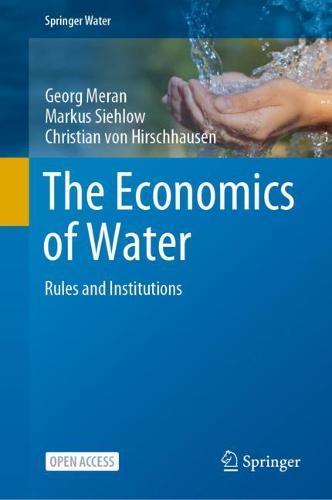 The Economics of Water: Rules and Institutions (Springer Water)