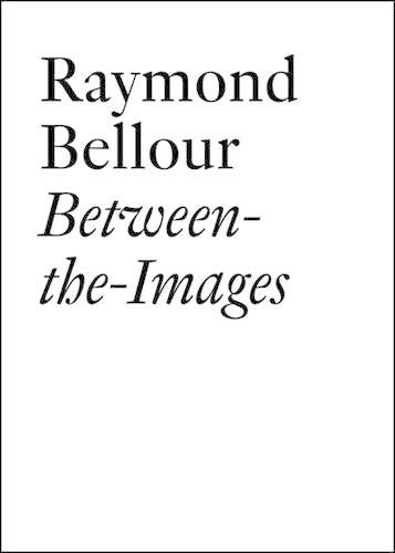 Raymond Bellour: Between-the-Images (Documents (JRP/Ringier))