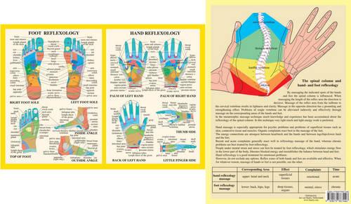 Hand and Foot Reflexology