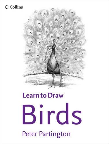 Collins Learn to Draw - Birds