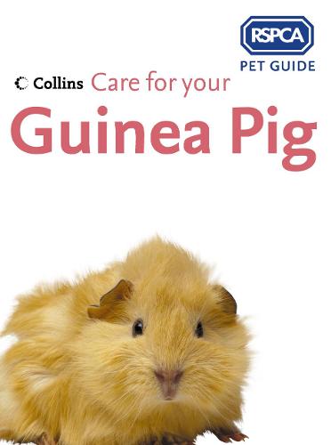 RSPCA Pet Guide - Care for your Guinea Pig