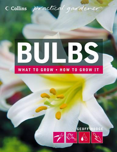 Bulbs (Collins Practical Gardener) (Collins Practical Gardener S.)