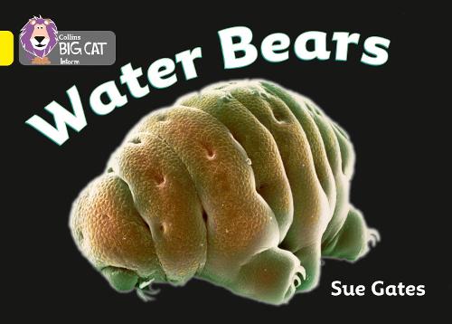 Collins Big Cat - Water Bears: Band 3/Yellow