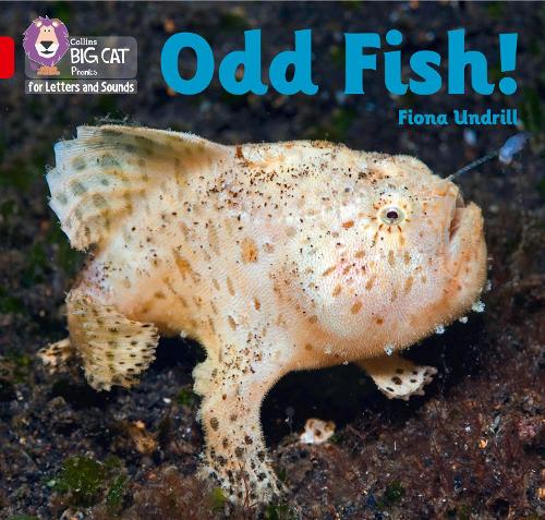 Odd Fish!: Band 02B/Red B (Collins Big Cat Phonics for Letters and Sounds)