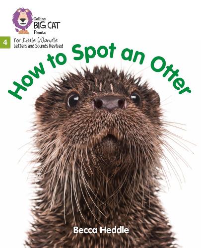 How to Spot an Otter: Phase 4 (Big Cat Phonics for Little Wandle Letters and Sounds Revised)