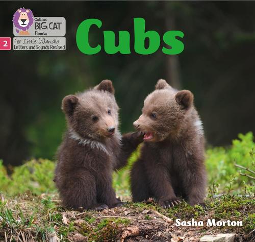 Cubs: Phase 2 (Big Cat Phonics for Little Wandle Letters and Sounds Revised)