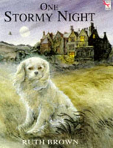 One Stormy Night (Red Fox Picture Books)