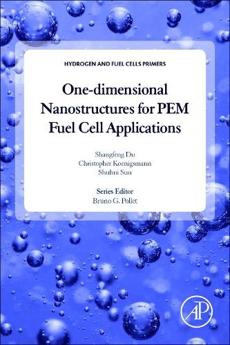 One-dimensional Nanostructures for PEM Fuel Cell Applications (Hydrogen and Fuel Cells Primers)
