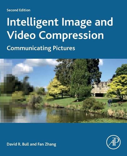 Intelligent Image and Video Compression: Communicating Pictures