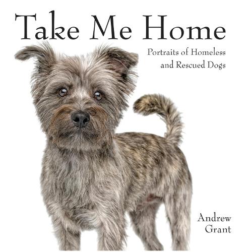 Take Me Home!: Rescue Dogs