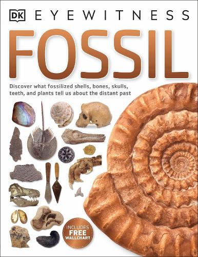 Fossil (Eyewitness)