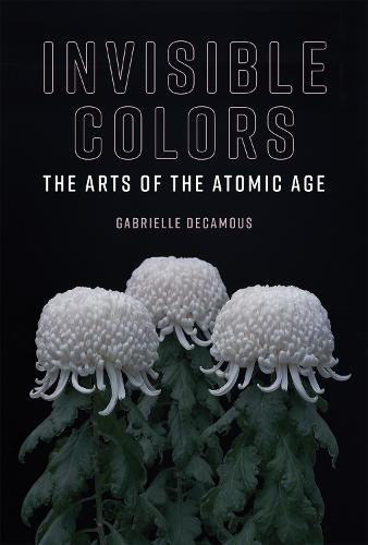 Invisible Colors: The Arts of the Atomic Age (Leonardo Book Series)